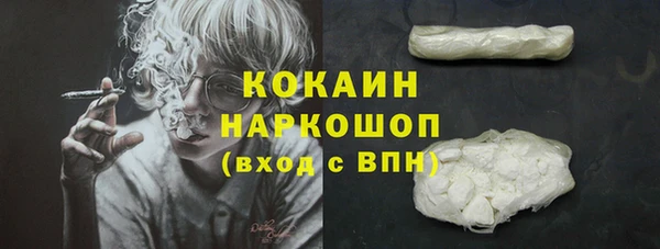 молекула духа Алзамай