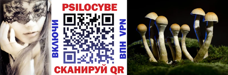 сайты даркнета как зайти  Шадринск  Псилоцибиновые грибы MAGIC MUSHROOMS 